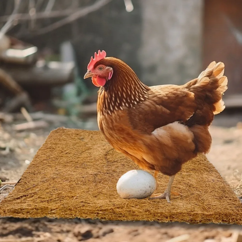 DOWNYPAWS - Tapis en fibre de noix de coco pour nid d'oiseau et animal de compagnie épaisseur 1cm 40*40cm 5 pièces