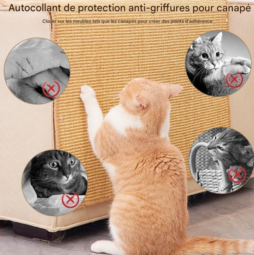 DOWNYPAWS - Tapis griffoir pour chat