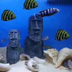 DOWNYPAWS - 2 têtes de l'île de pâques pour aquarium & décoration