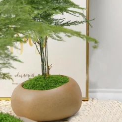 DTOPBUYAGE - Mousse artificielle de 100g*2 pour décoration de jardin dtopbuyage