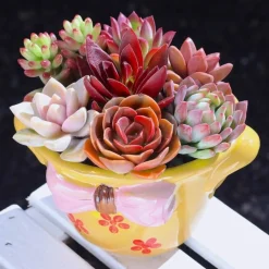 DTOPBUYAGE - Pot céramique coloré 12x10x7cm fleurs