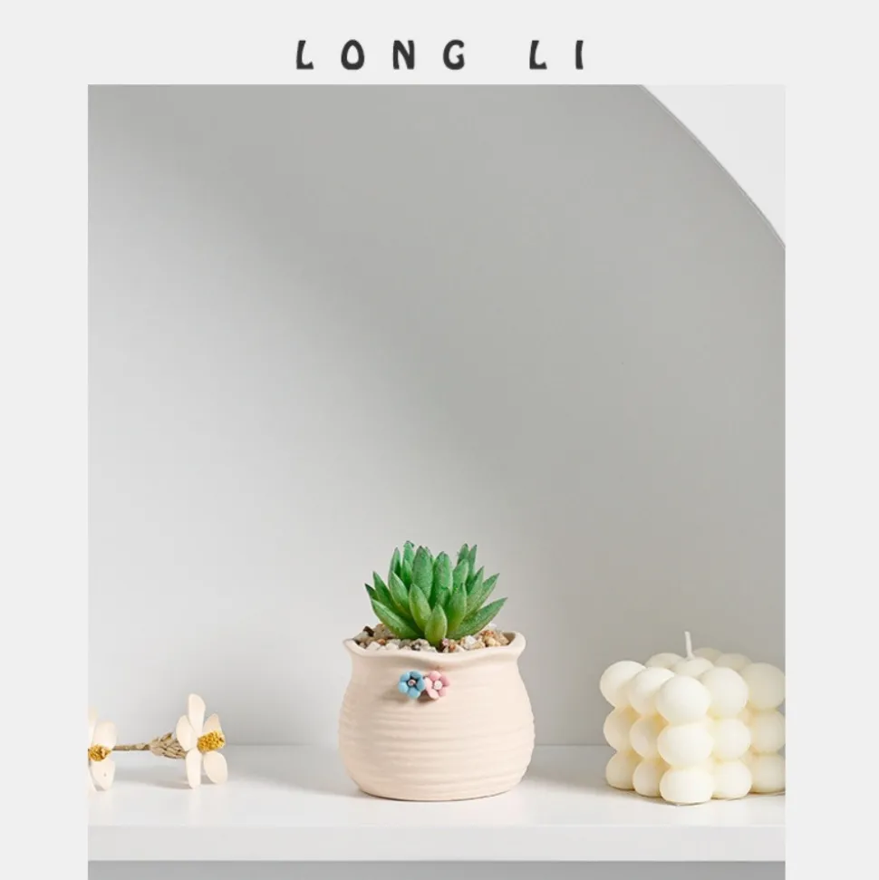 DTOPBUYAGE - Pot de fleurs succulentes en céramique
