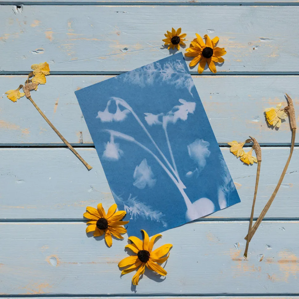 ESSCHERT DESIGN - Diy papier photo solaire a5