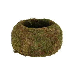 ESSCHERT DESIGN - Kokedama boule de mousse 9 cm
