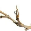 EXO TERRA - Branche de vigne sable reptiles petit