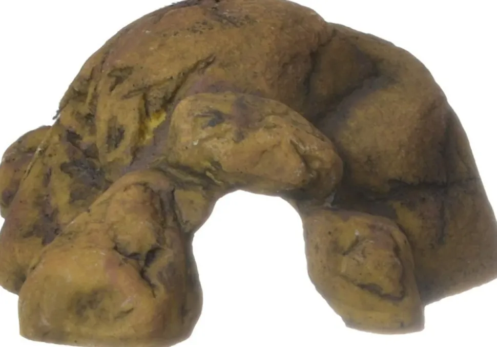 EXO TERRA - Cachette reptile grotte tres grand