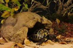 EXO TERRA - Caverne / grotte tortue
