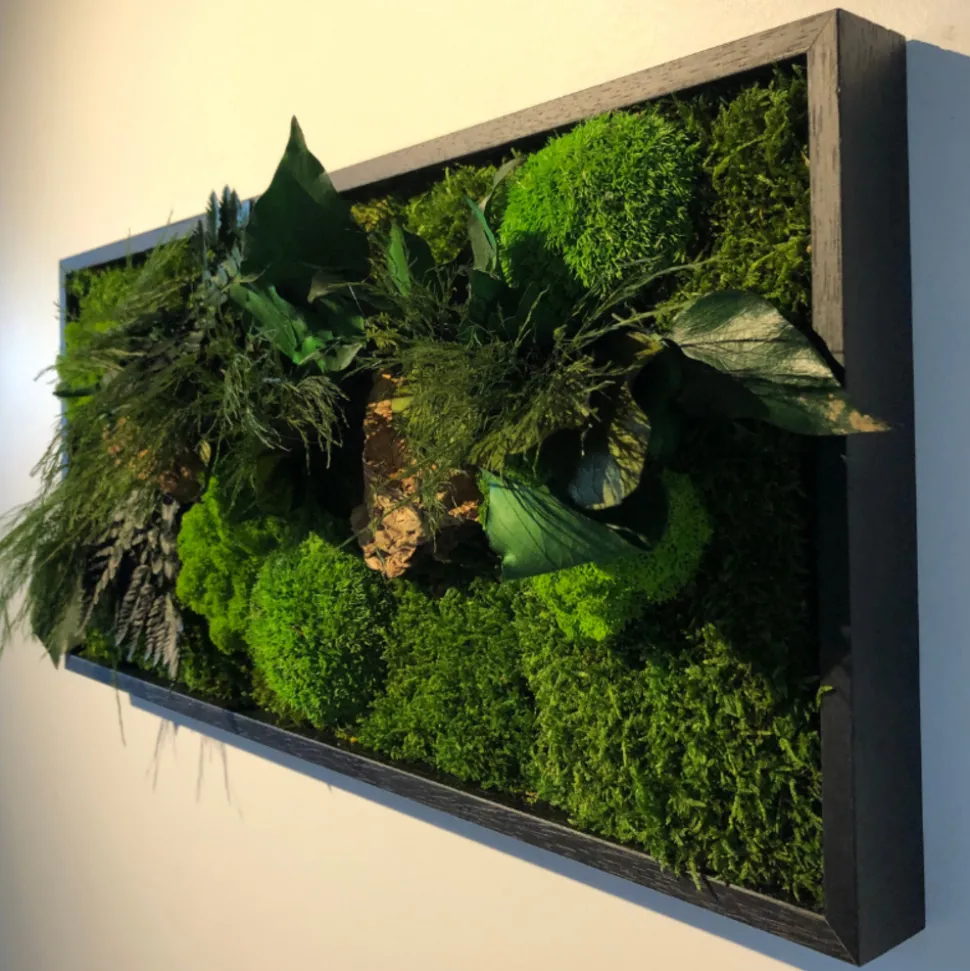 FLOWERBOX - Tableau végétal stabilisé canopé rectangle 57 x 27 cm