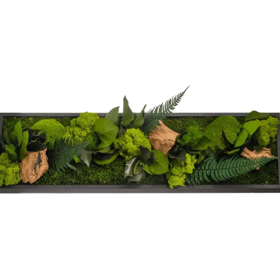 FLOWERBOX - Tableau végétal stabilisé canopé panoramic 70 x 20 cm