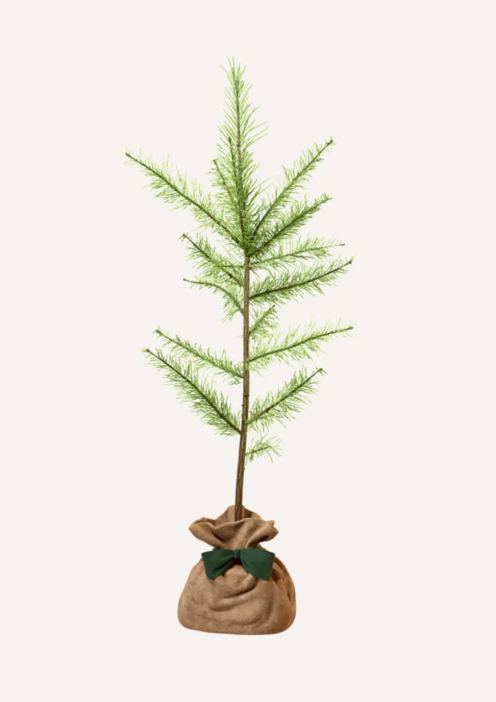 JUSTE UN ARBRE. - Melèze d'europe | offrez un arbre pour célébrer les grands moments de vie (naissance, mariage). Un cadeau unique.