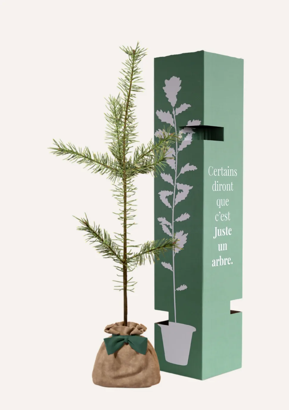 JUSTE UN ARBRE. - Pin sylvestre | offrez un arbre pour célébrer les grands moments de vie (naissance, mariage). Un cadeau unique.