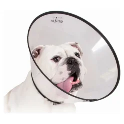 KVP - Collier de protection isabelino pour chiens saf-t-clear transparent (22-43 cm)