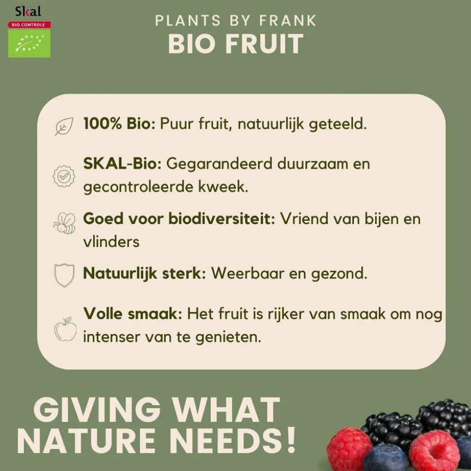 LA GREEN TOUCH - Ensemble de 3 plantes fruitières bio
