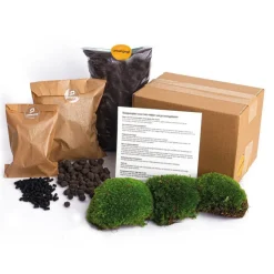 LA GREEN TOUCH - Kit rempotage plantes pour terrarium sans plante -