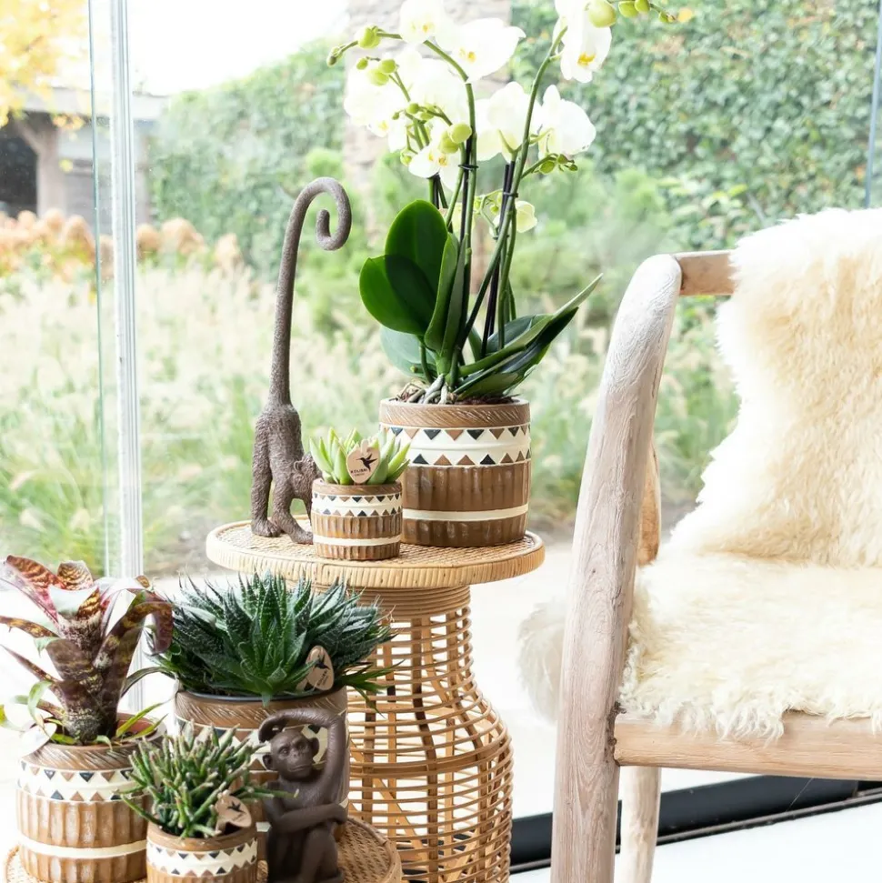 LA GREEN TOUCH - Ornement - figurine singe assis - brun