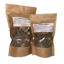 L'EDEN DES PATTOUNES - Pack nature pissenlit 2 en 1