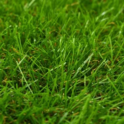 MAISON EXCLUSIVE - Gazon artificiel 1x15 m/40 mm vert