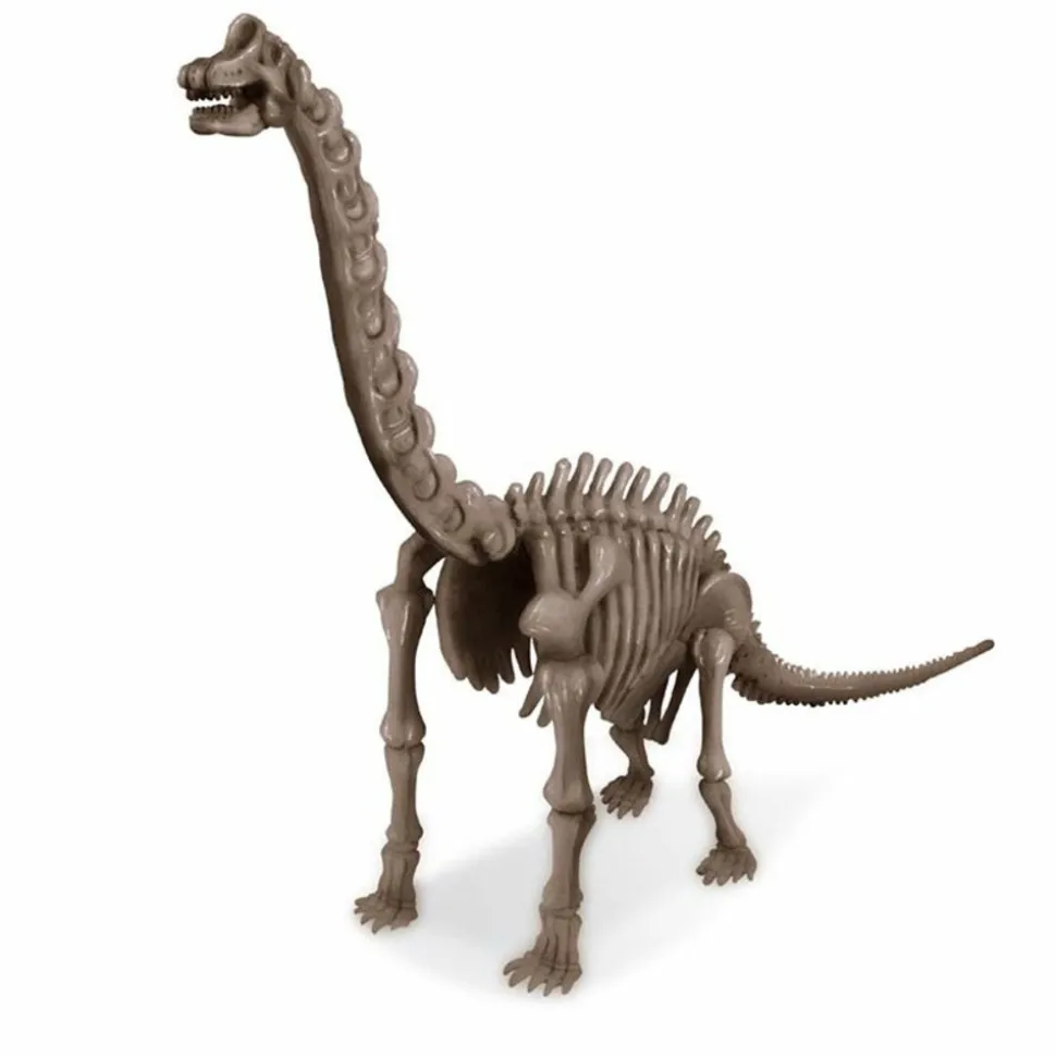 4M - Coffret découverte de la science - déterre ton brachiosaure