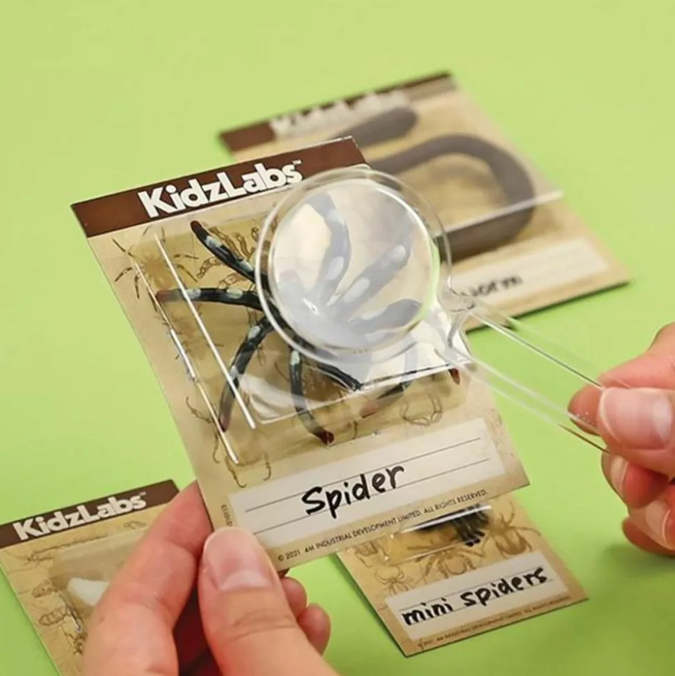 4M - Découverte de la science - kit des insectes rampants
