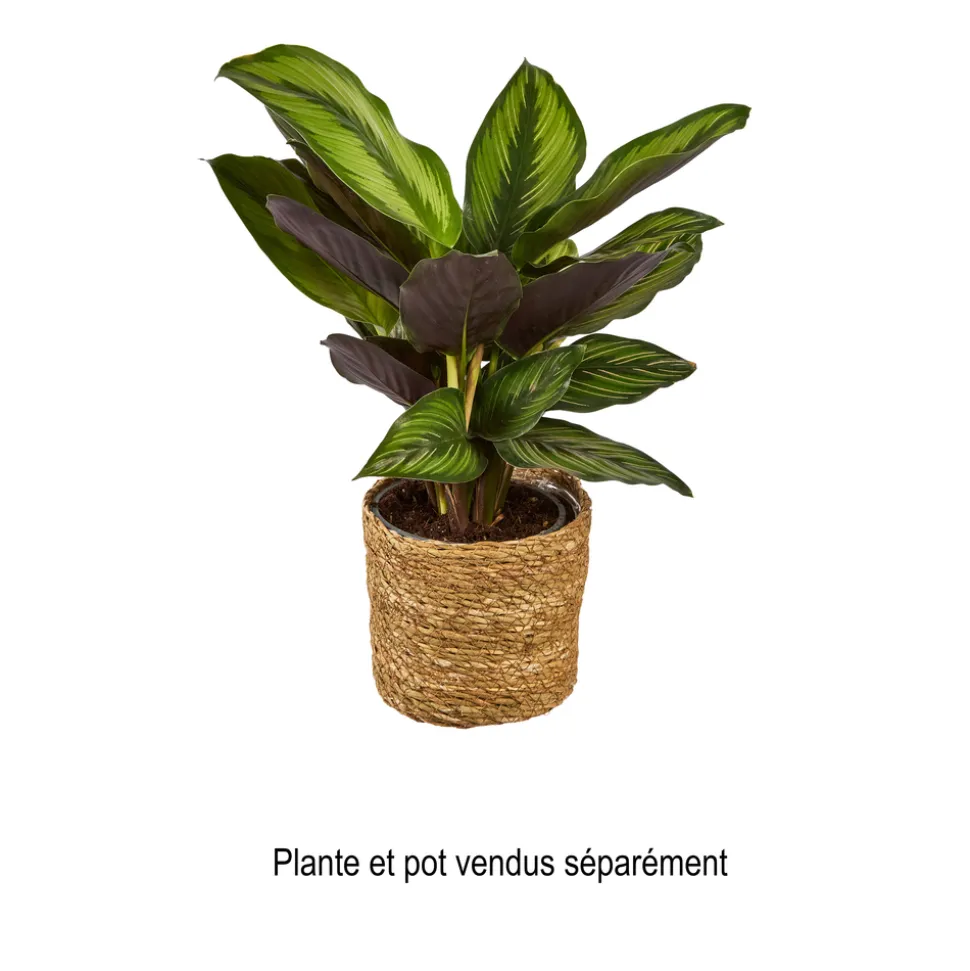 MICA - Panier Atlantic Marron H12xD12 cm