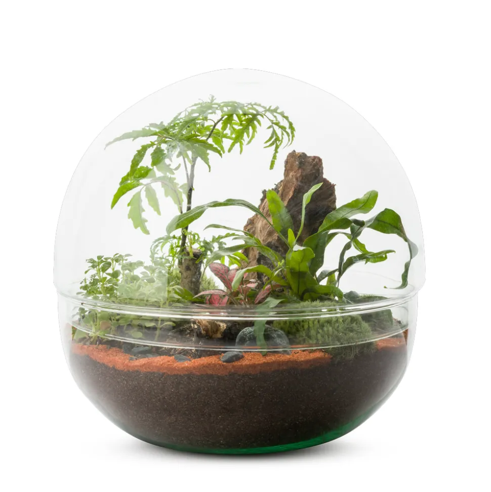 Mini Monde L Mix