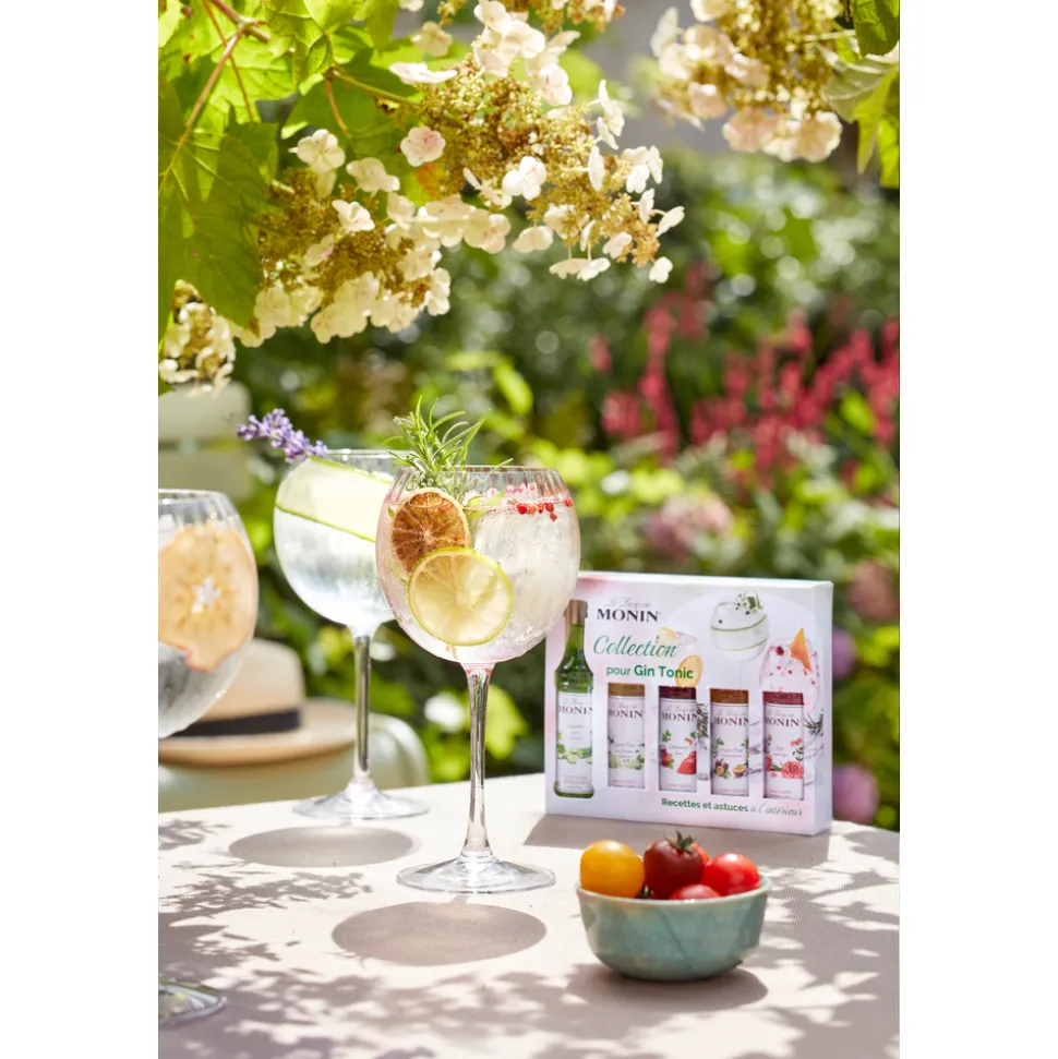 MONIN - Coffret sirops Monin pour apéritif - 5x5cl