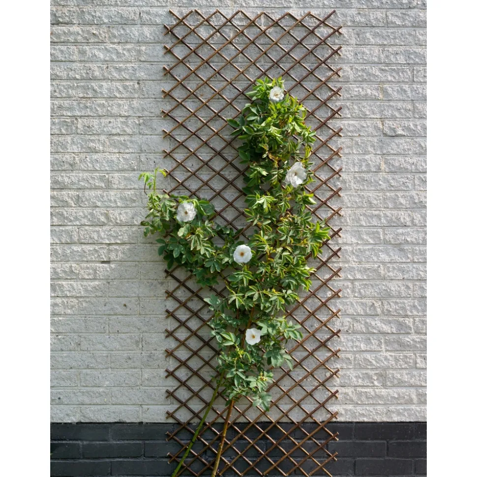 NATURE - Treillis extensible osier L30 x H180 cm
