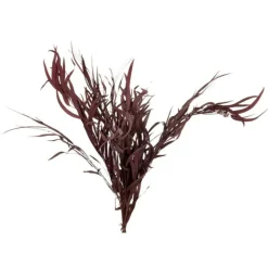 PARIS PRIX - Bouquet d'eucalyptus "sauvage séché" 75cm bordeaux