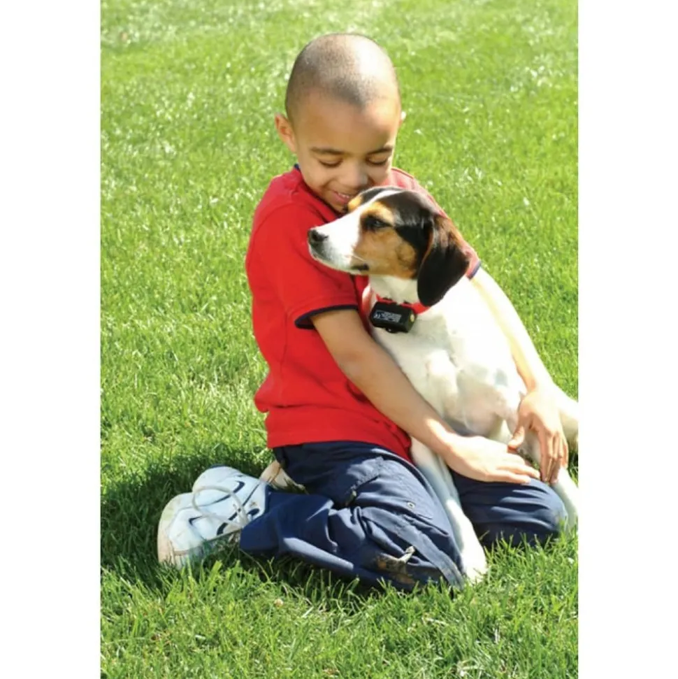 PETSAFE - Collier anti-aboiement rouge 71 cm 6065