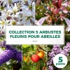 PÉPINIÈRES NAUDET - Collection 5 arbustes fleuris