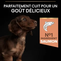 PROPLAN - Croquettes pour chiot peau sensible Super Premium - 3 kg