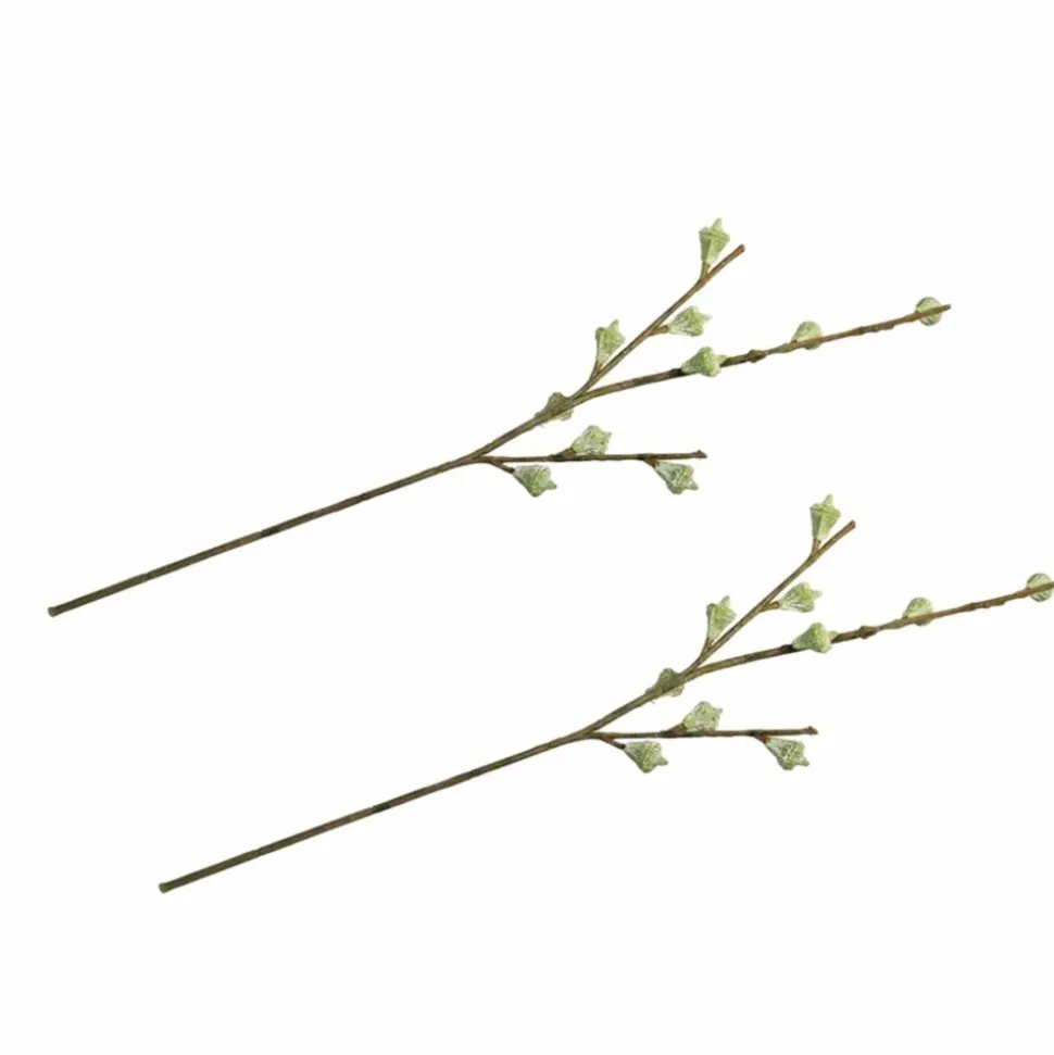 RAYHER - 2 branches de fruits d'eucalyptus