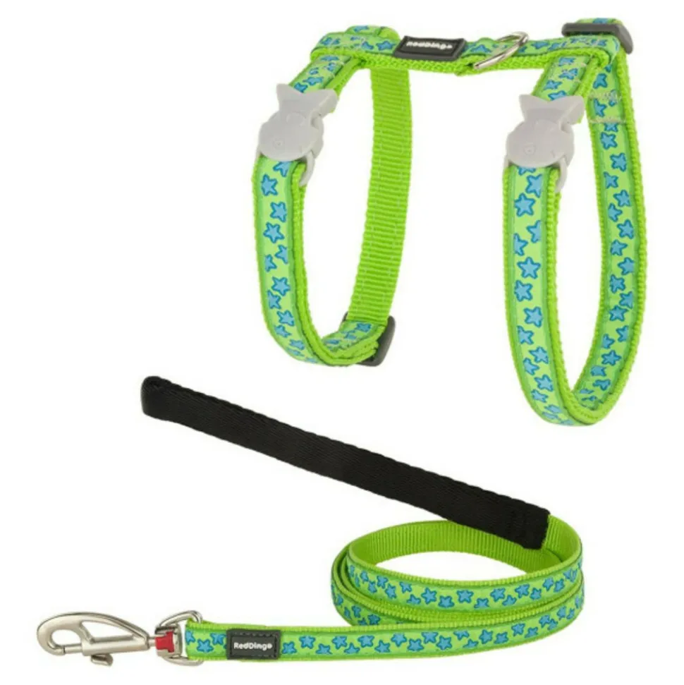 RED DINGO - Harnais pour chat style turquoise étoile sangle