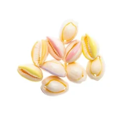 RICO DESIGN - 10 perles - coquillages pastel - 2 perforations