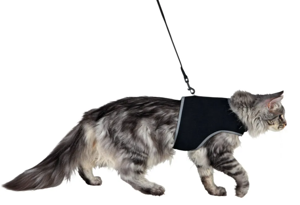 TRIXIE - Harnais soft avec laisse chats