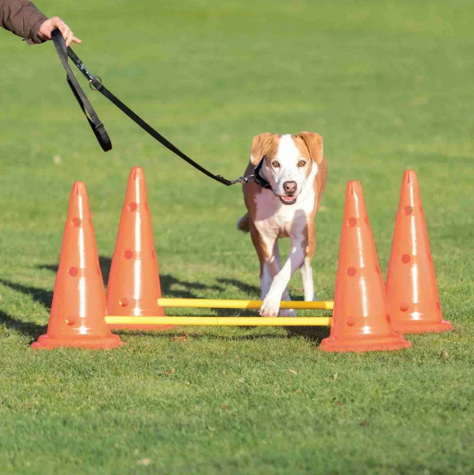 TRIXIE - Set d'obstacles pour chien - 4 cône - agility