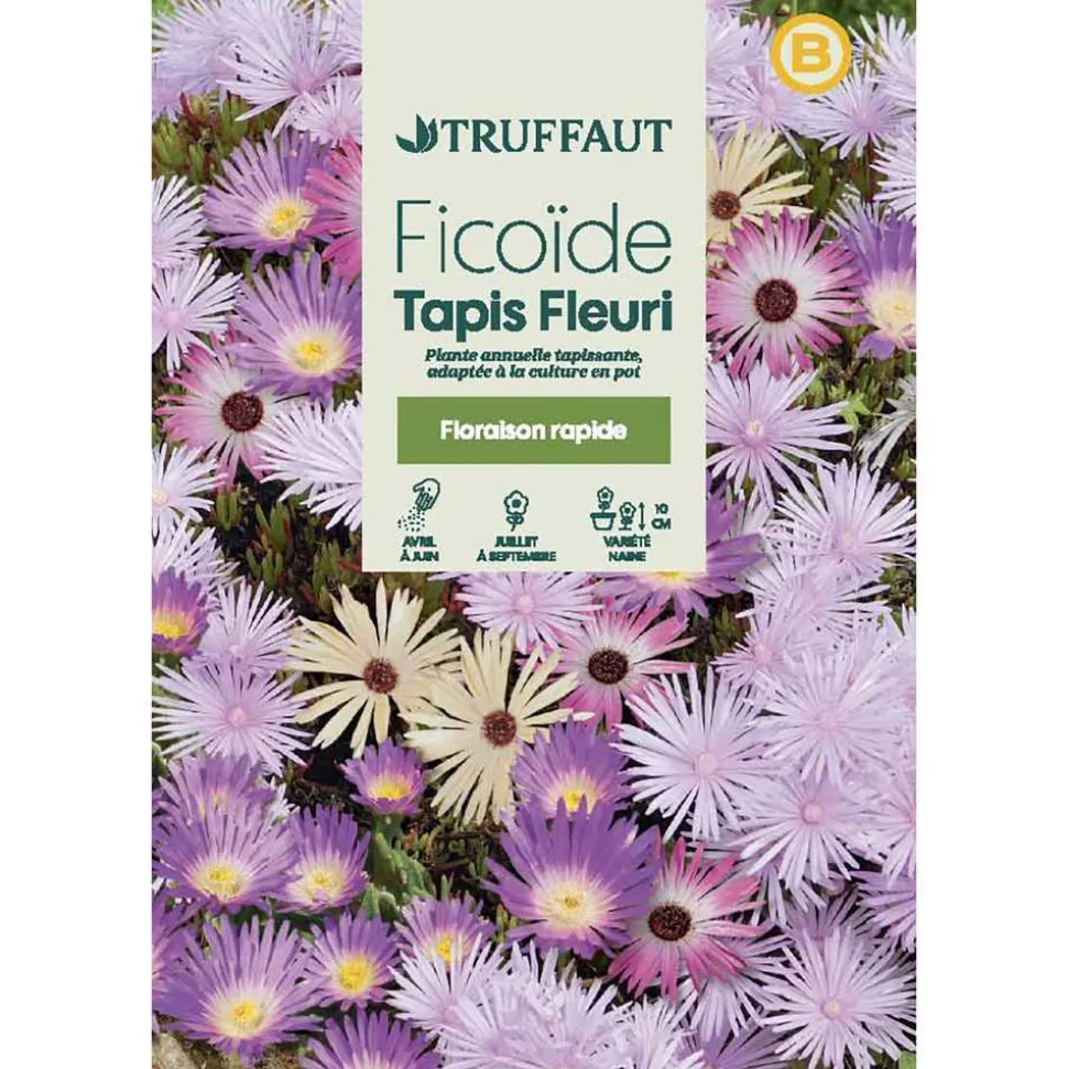 TRUFFAUT - Ficoide tapis Fleuri : En Sachet