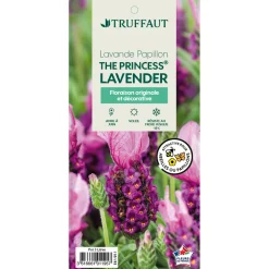 TRUFFAUT - Lavandula 'The Princess®' : pot D.3L