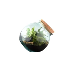 TRUFFAUT - Terrarium 'Kuego' M : D.19cm - H.19cm
