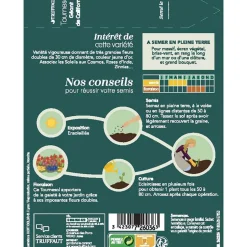 TRUFFAUT - Tournesol géant de californie 4 g