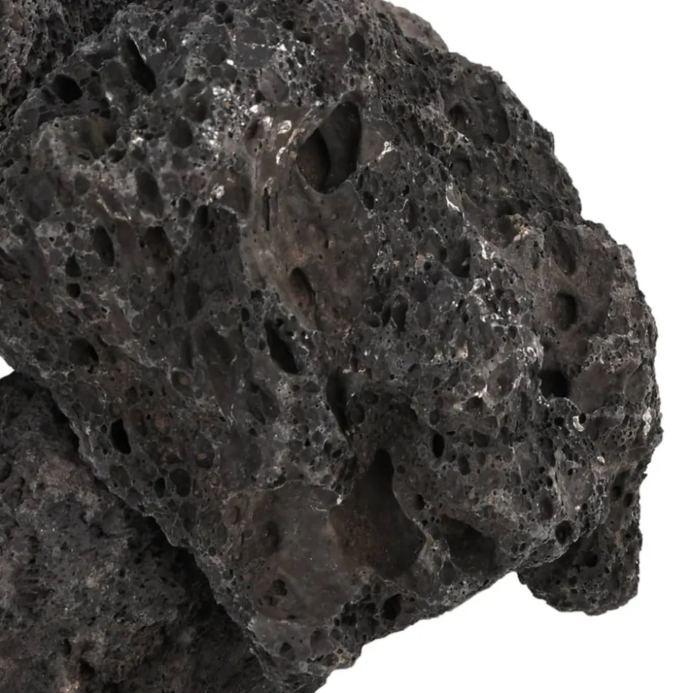 VIDAXL - Roches volcaniques 25 kg noir 10-30 cm