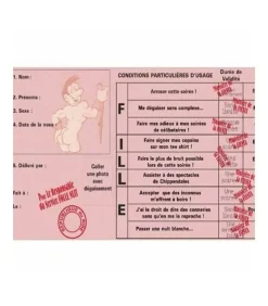 YOUDOIT - Permis - j'enterre ma vie de jeune fille