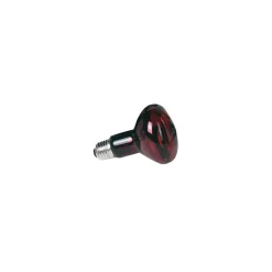 ZOO MED - 50 w zoo med lampe spot infrarouge - lampe chauffante infra-rouge nocturne